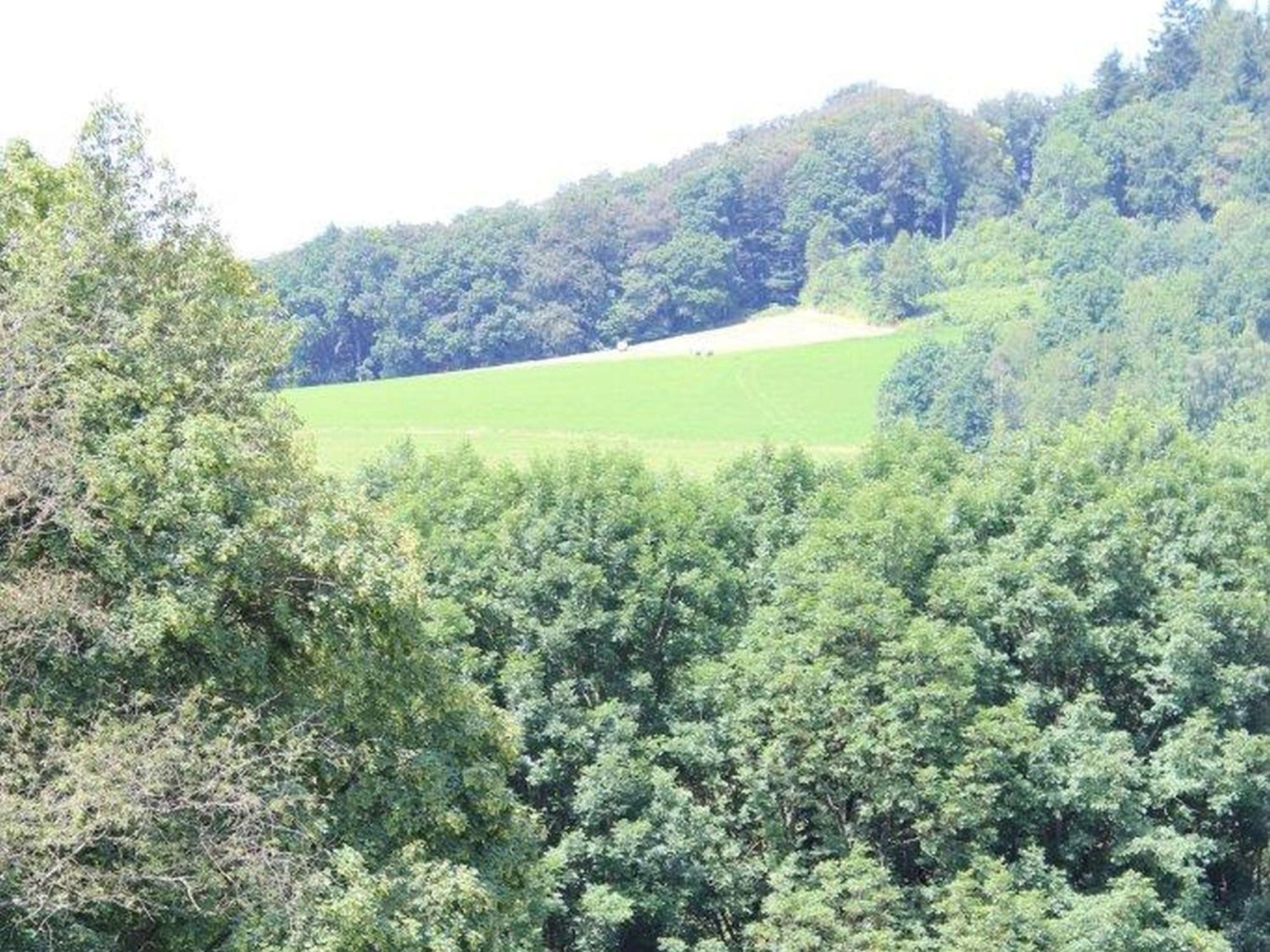 Ferienwohnung Rimbach Kültér fotó