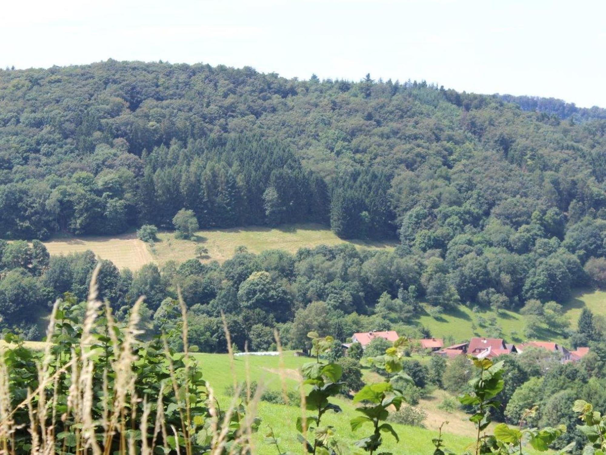 Ferienwohnung Rimbach Kültér fotó